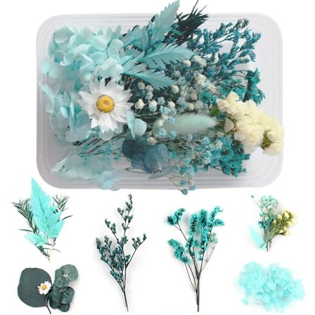 Naturlige Tørrede Blomster Tørrede Prægede Konserverede Blomster Harpiks Smykker DIY Lys Neglehåndværk Scrapbooking Blomsterdekoration