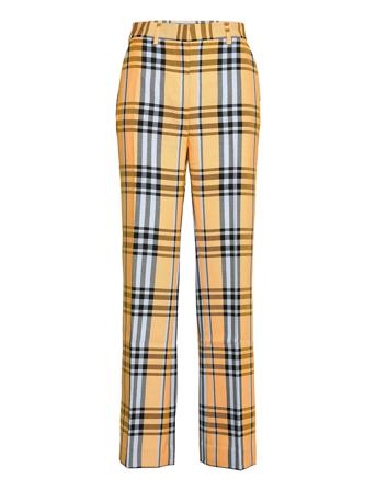 2Nd Blinie Dashing Yellow 2NDDAY