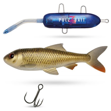 Pulz Bait Starter Kit Roach 15cm - Crucian Carp