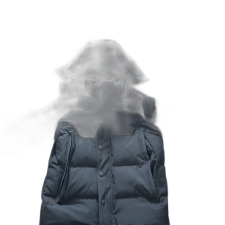 Canada goose Wyndham