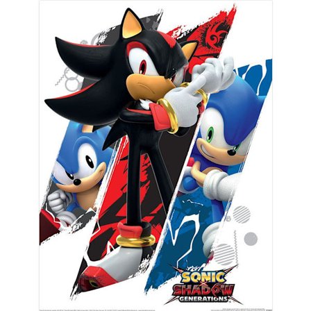 Sonic The Hedgehog Shadow & Sonic Tryck 40cm x 30cm Flerfärgad