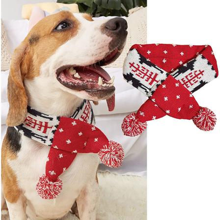 Hund Julhalsduk Husdjur Valp Jul S