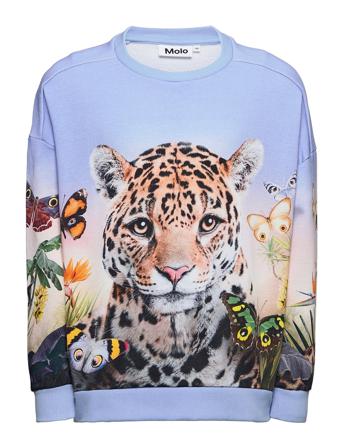 Mandy Sweatshirt Trøje Multi/mønstret Molo