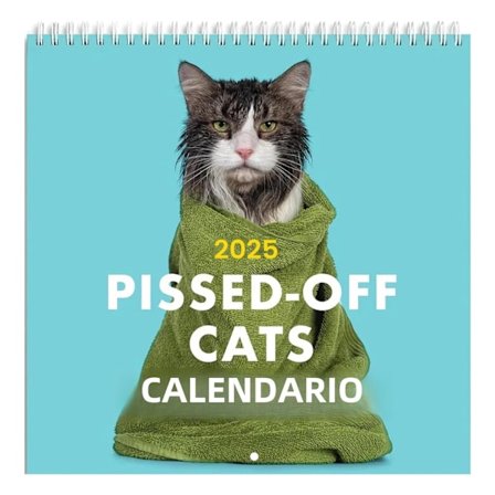 2025 Angry Cats Väggkalender 12 Roliga Kattkomedier Presenter till Kattälskare Väggdekor Nytt År