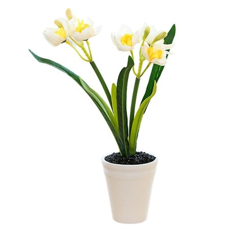 To-hovedet Narcissus Lille Bonsai Kreative Ornamenter Simulationsblomster Dekorationer Kunstig Simulationsblomst Grønne Plantepotter
