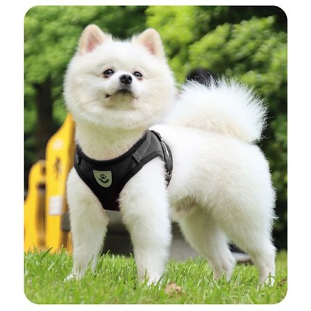 Reflekterande hundsele - Andas svart