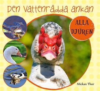 Den vattenrädda ankan - Bok av Mickan Thor - Inbunden