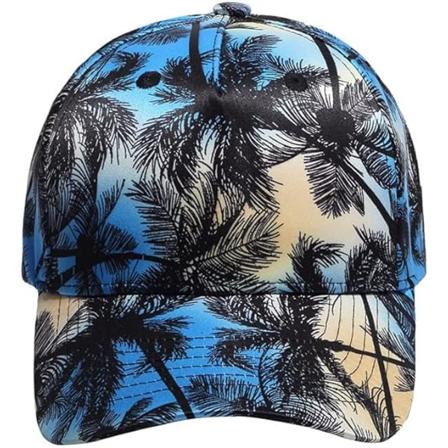 Fashion Baseball Cap för kvinnor och män Justerbar vuxenhatt för sommarlöpning Sport Vandring Strand Utomhus Golf Unisex(55-61CM)