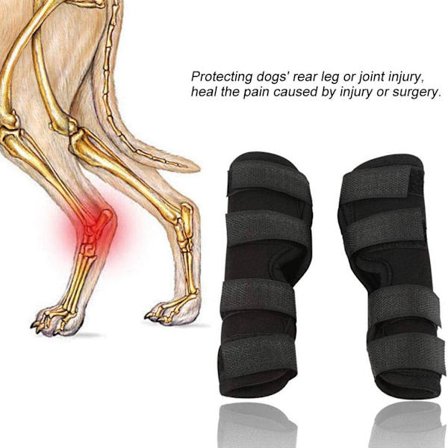 1 par hundframbensskydd, knäskydd, ortos