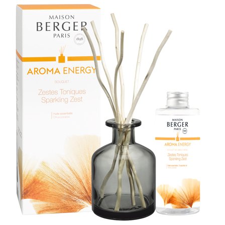 Maison Berger Paris Bouquet Parfumé Cofanetto Bouquet Aroma ENERGY - Diffusore di Profumo