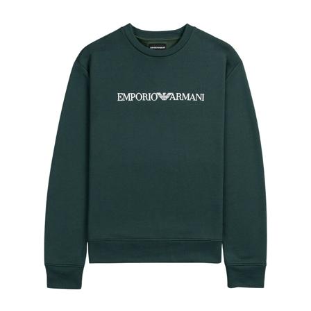 Emporio Armani, Sweatshirts Groen, Heren, Maat:M