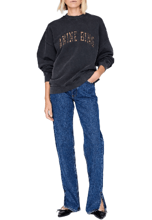 Anine Bing Miles Sweatshirt Tröjor Dam Flerfärgad S