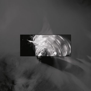 Live at world culture museum LUCID HAZE