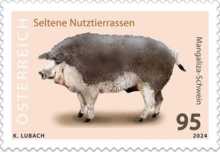 Østrig - Mangalitsa gris - Postfrisk frimærke