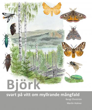 Björk : svart på vitt om myllrande mångfald - Bok av Bengt Ehnström - Danskt band