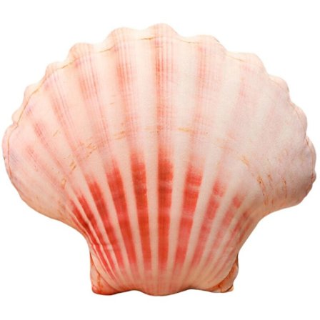 Sød Plys Pude med Havdyr - Muslingeskal, Østers, Musling, Konkylie, Abalone Udstoppede Legetøj, Sofadekor, Bomulds PP Dukke til Børn, Soveselskab