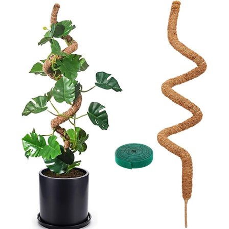 Plantestøtte / støttestav, Bøjelig Mosstav 70-100cm – Klatrestøtte 1/2-pakke, til indendørs planter, vedbend og monstera