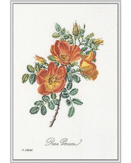 Broderipakke Bilde Oransje Blomster - Thea Gouverneur