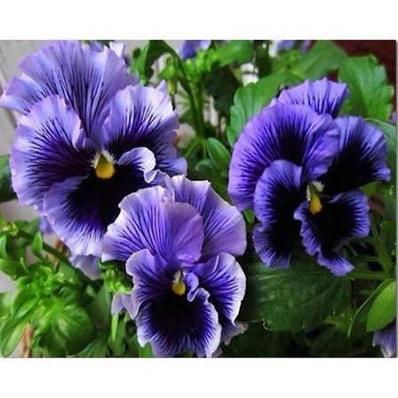 30 x 40 cm, lilla blomster Diamantmaleri Diamantbroderi Pa