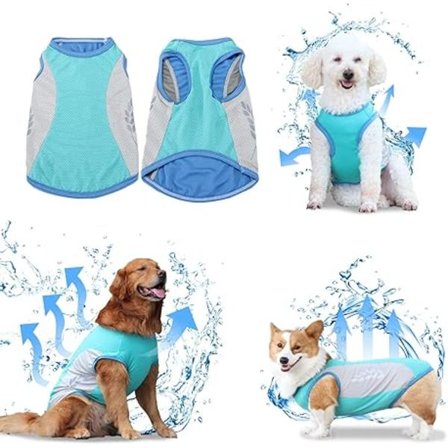 Hundkylande Västar Instant Kylande T-shirt Sommarjackor Promenader