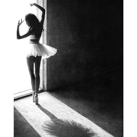 Pyramid International Shadow Dance Canvas Print 50cm x 40cm Svart/Vit