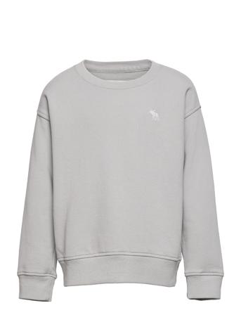 Kids Boys Sweatshirts Sweat-shirt Genser Grå Abercrombie & Fitch
