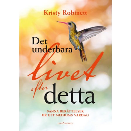 Det underbara livet efter detta 9789188633071