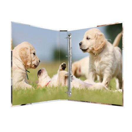 Herma Ringbuch A4 Hunde 4D