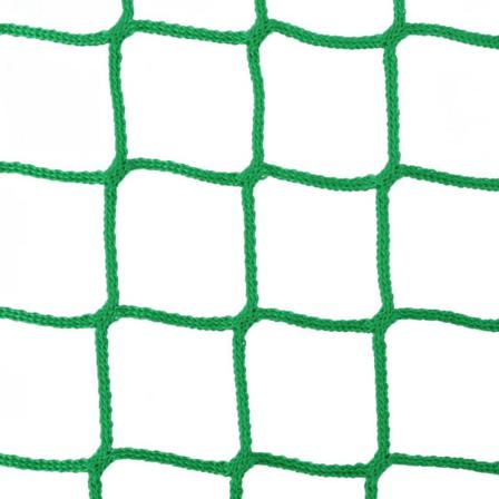 Vidaxl Hönät Kvadratisk 0,9x2 M Pp Grön