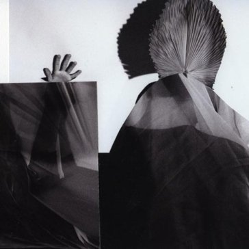 Bad crab hand FLIES+FLIES