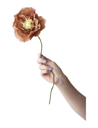 Studio About | Paper Flower | L:44CM