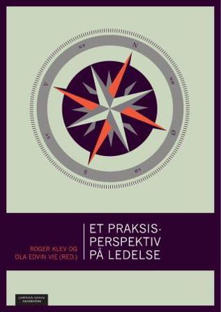 Et praksisperspektiv på ledelse - Bok - Paperback