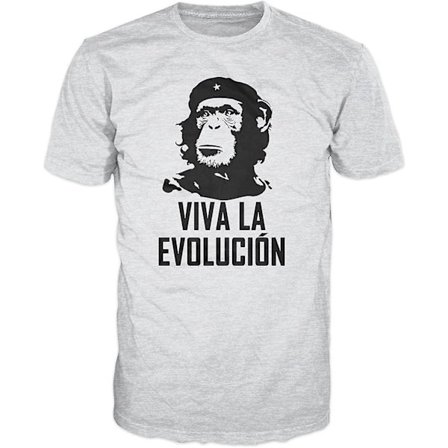 Viva La Evolucion - Evolution Che Guevara Rolig T-shirt (askgrå)