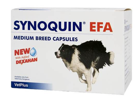 Synoquin Efa Medium Breed Mangime Complementare Per Cani Di