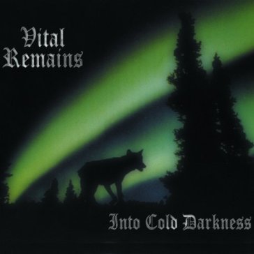 Into cold darkness Vital Remains