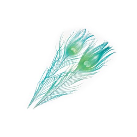 Frödin SNS Peacock Eye Feathers - B&D Clearwater Blue