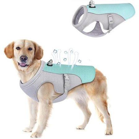 Hunde Kølevest - Letvægts Kølevest - Åndbar - Reflekterende Sikkerhedsvest Egnet til Små til Mellemstore Hunde - Størrelse S - Blå