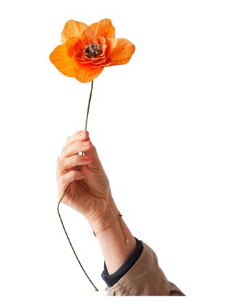 Studio About | Paper Flower | L:43.0CM