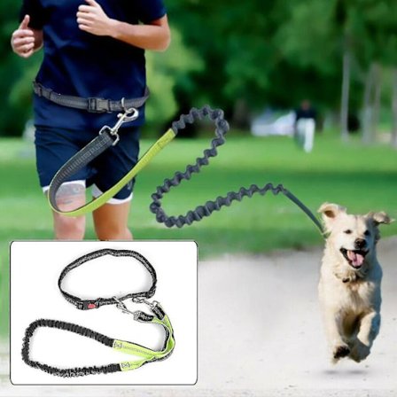 Justerbar joggeline, gåsele, hundeline, turline med midjebelte