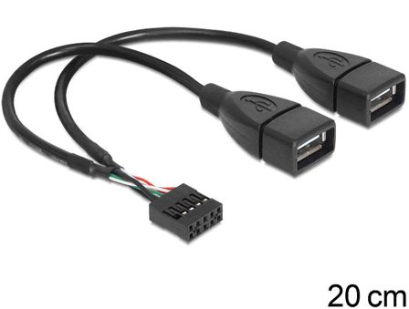Delock intern-til-ekstern USB-kabel - USB til 9-pins USB-header - 20 cm