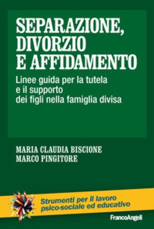 Separazione, divorzio e affidamento. Linee guida per la tutela e il supporto dei figli nella famiglia divisa Marco Pingitore