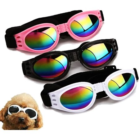 3 stilige solbriller for kjæledyr