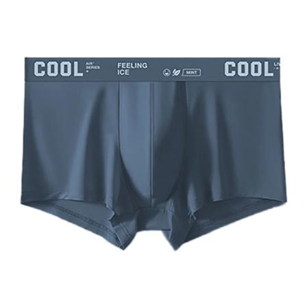 1st Boxer Herrunderkläder Ice Sidenkalsonger Sexiga trosor 3A Antibakteriellt Andas Elastiska Underkläder Plus Size L-6XL 9922-Dark Gray 6XL(95-110kg)