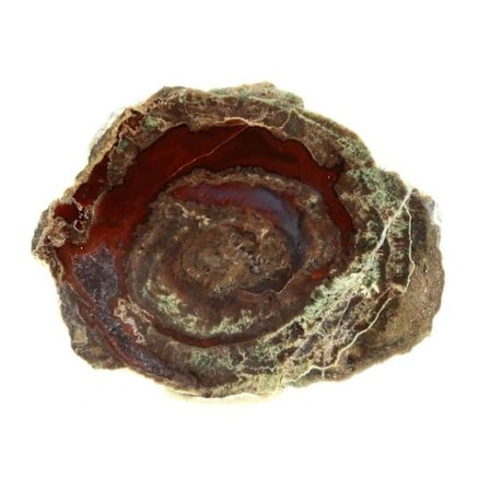 Sten og mineraler. Litofyse. 91,5 ct. Esterel-massivet, Var, Frankrig.