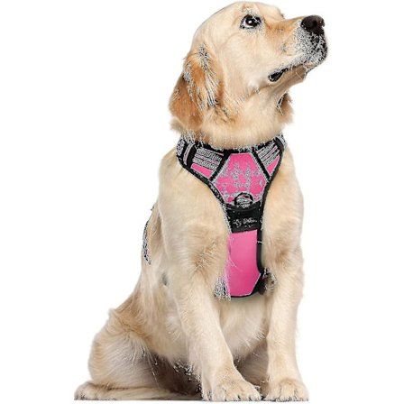 Sele för hund, sele som inte drar med 2 koppelfästen, justerbar mjuk vadderad hundväst, reflekterande ut