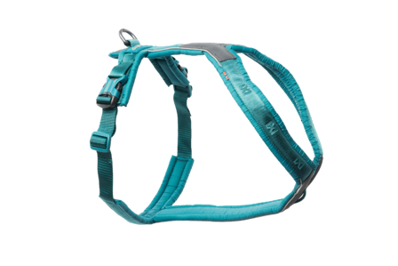 Non-Stop Dogwear - Linjesele 5.0 blågrønn nr. 4 - Hund - Halsbånd - ZOO.no