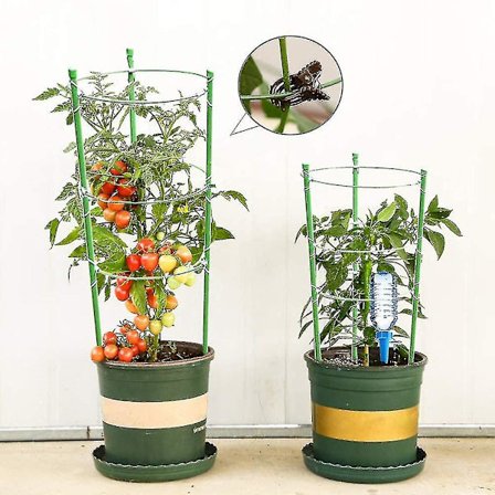 4 stk. Plante Tomater Støttebure Nem Installation Plantevækst Stang Til Tomater Grøntsagsplanter