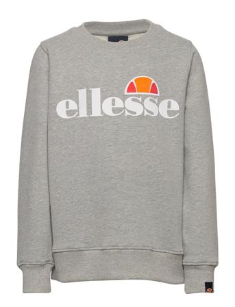 El Siobhen Sweatshirt Jnr Sweatshirt Trøje Grå Ellesse