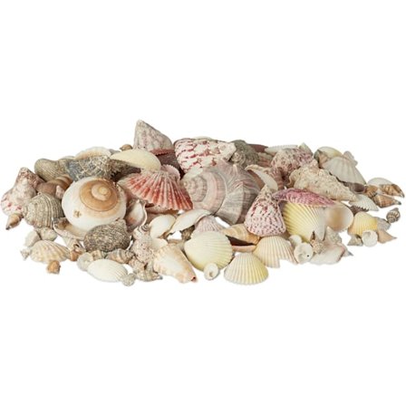 Blandede skjell fra stranden, naturlige fargerike skjell perfekte for{ee]