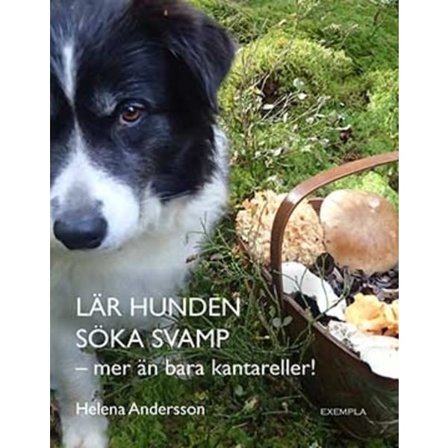Lär hunden söka svamp - mer än bara kantareller! 9789198612219